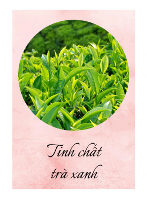 Tinh chất trà xanh