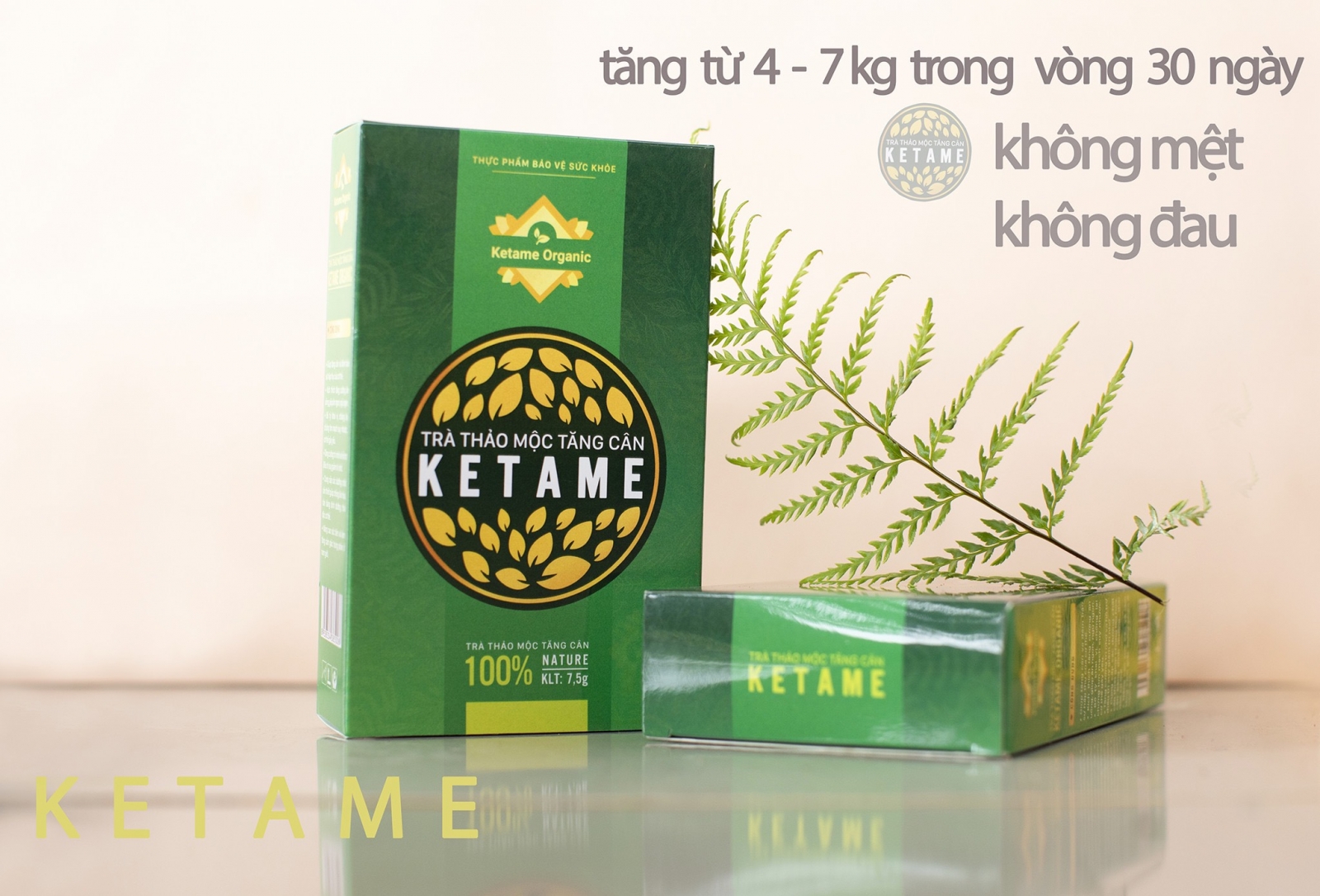 KETAME TĂNG CÂN