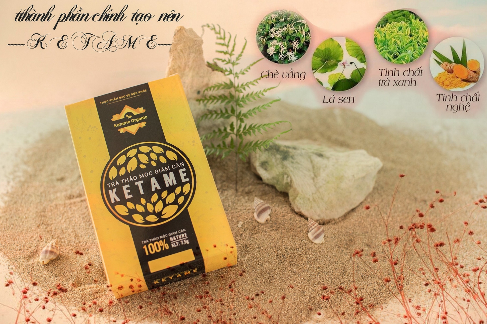 KETAME GIẢM CÂN